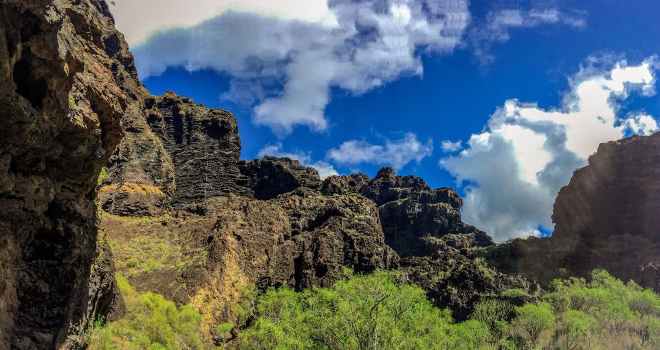 Tenerife: Teide National Park & Teno Rural Park Private Tour - Photo Stops and Viewpoints: Short Times That Matter