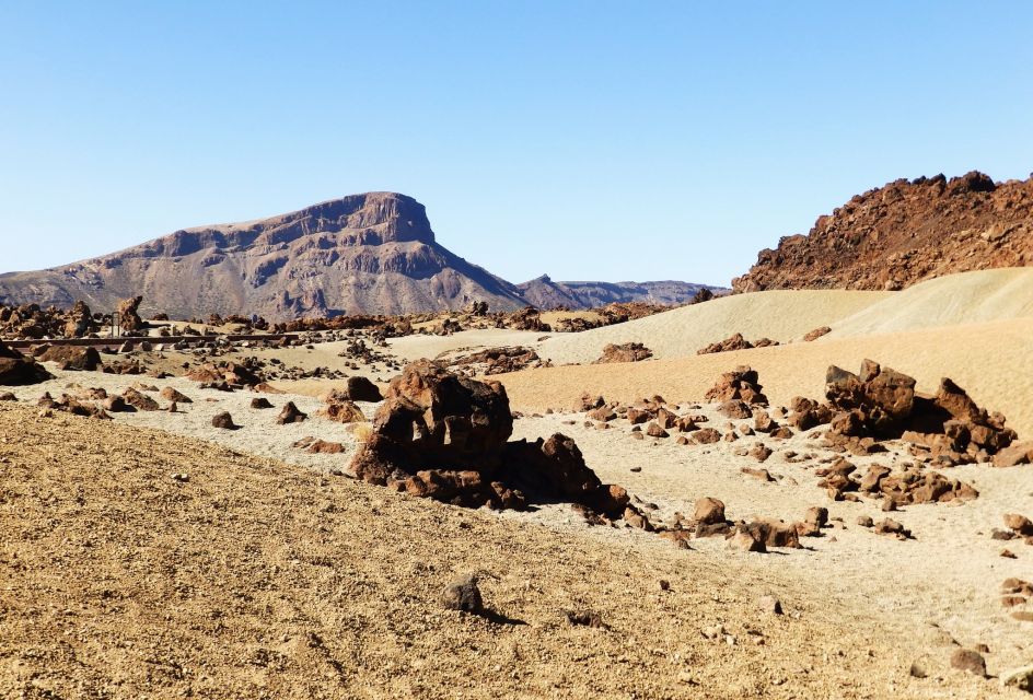 Tenerife: Teide National Park & Teno Rural Park Private Tour - Lunch at a Local Restaurant: The One Break You’ll Be Glad You Have