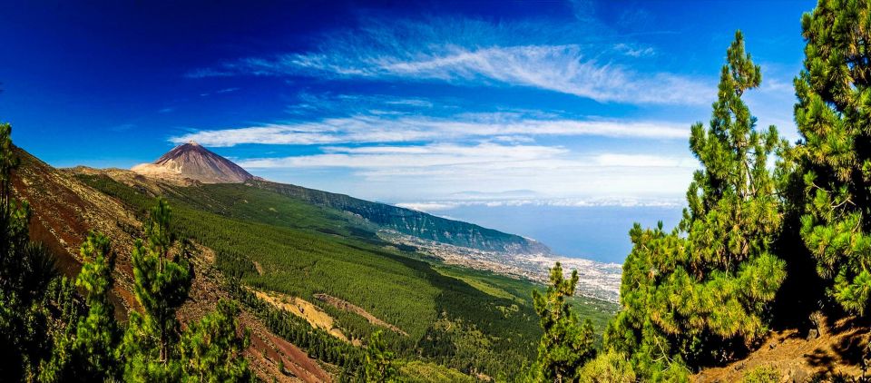 Tenerife: Teide National Park & Teno Rural Park Private Tour - Timing, Transfers, and Drop-Off: Making the Whole Day Work