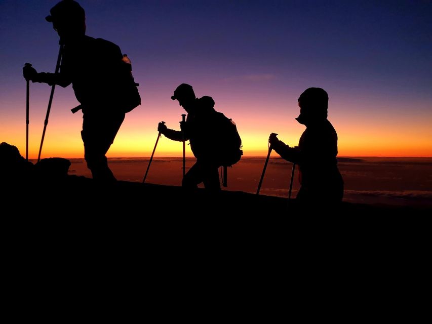 Tenerife: Teide Peak Hiking 3715m - Price and value: is $199 worth it?