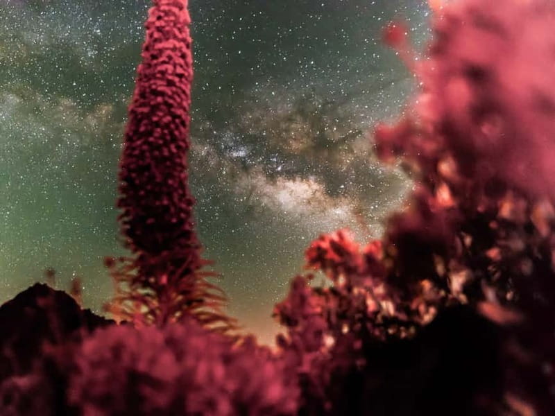 Tenerife: Teide Stargazing with an Astrophysicist - What you learn under the stars: constellations, myths, and astrophysics