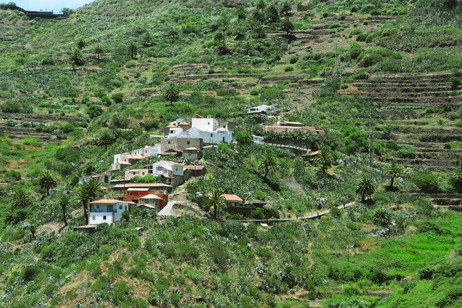 Tenerife Tour Mt. Teide and the Towns of Icod, Garachico, Masca - Why Teide, Icod, Garachico, and Masca make sense together