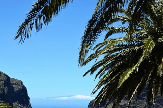 Tenerife Tour Mt. Teide and the Towns of Icod, Garachico, Masca - The guide and language setup: why it can feel quiet or confusing