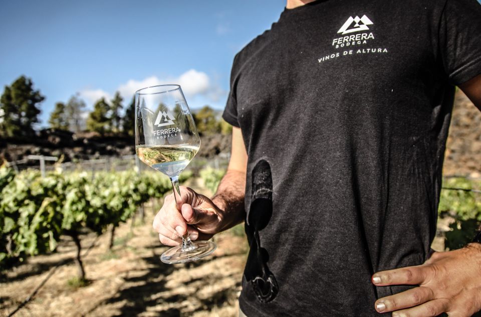 Tenerife: Tour of an Organic Vineyard with Tasting & Snacks - The 3-hour flow: how the walk and tastings are staged