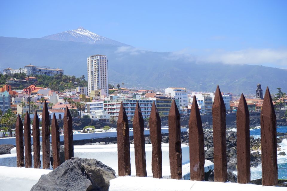 Tenerife: Trip to Puerto de la Cruz - Getting There From the South: What the 8 Hours Really Means