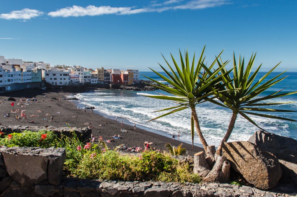 Tenerife: Trip to Puerto de la Cruz - Shopping Time That Actually Lets You Wander