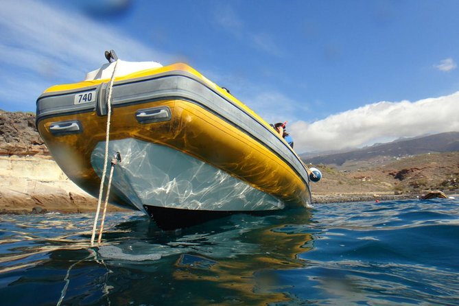 Tenerife Turtle and Snorkel Tour from Costa Adeje - Gear and Comfort: What You’ll Be Given (and What You Should Bring)