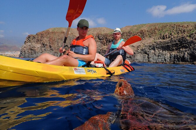 Tenerife: Turtle & Dolphin Kayak Tour with Snorkel & Wetsuit - Meet at Xplore Tenerife Kayaking: Simple Start, Real Water Time