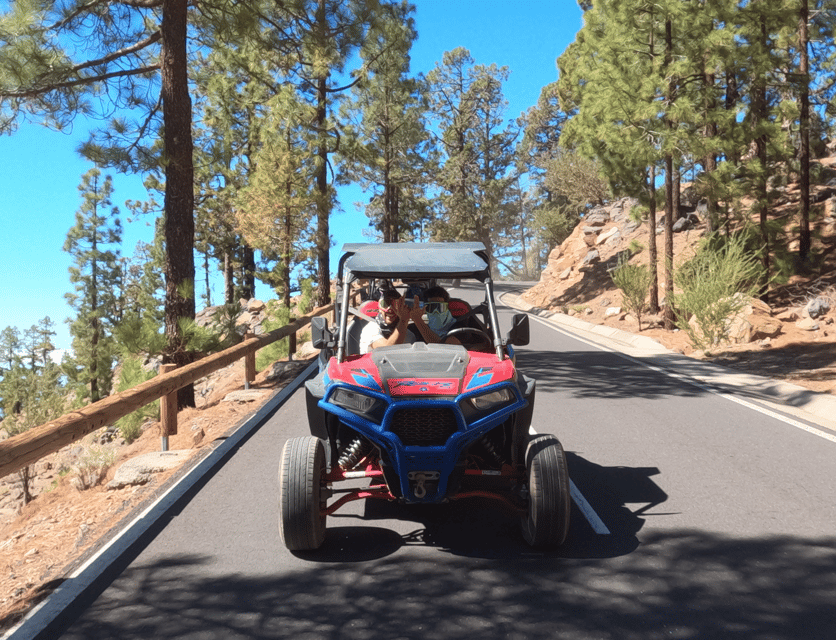 Tenerife: Volcano Teide Buggy Tour with Wine Tasting & Tapas - Corona Forest and the Teide National Park drive: where the views stack up