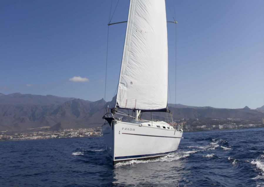 Tenerife: Whale and Dolphin Watching Tour by Sailboat - Key things that make this whale-and-dolphin trip worth your time