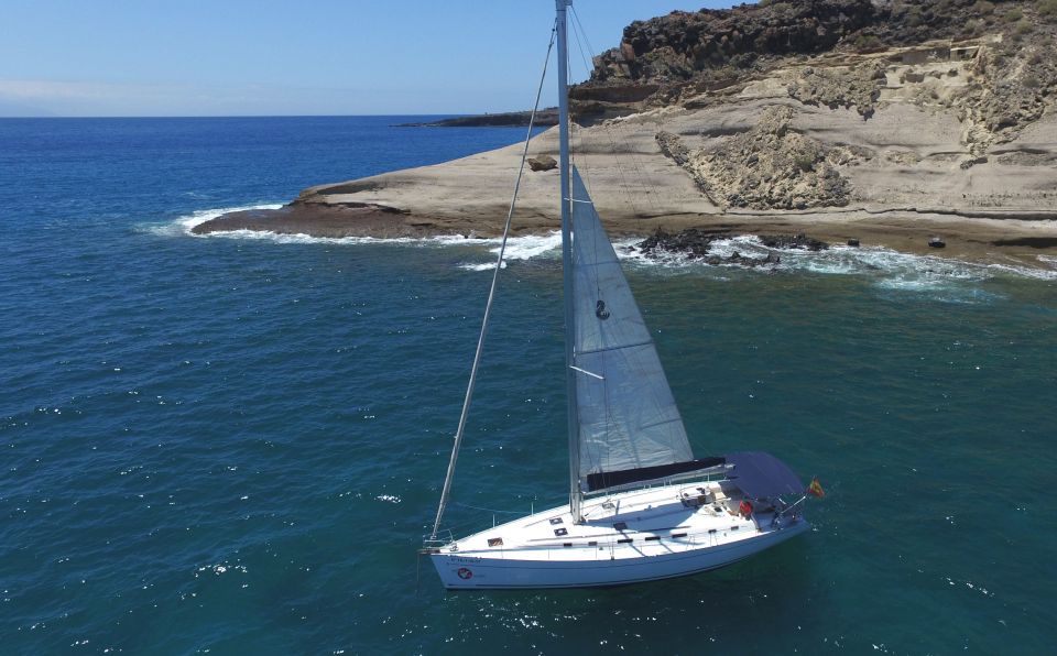 Tenerife: Whale and Dolphin Watching Tour by Sailboat - Puerto Colón departure: where your 3 hours on Tenerife really starts