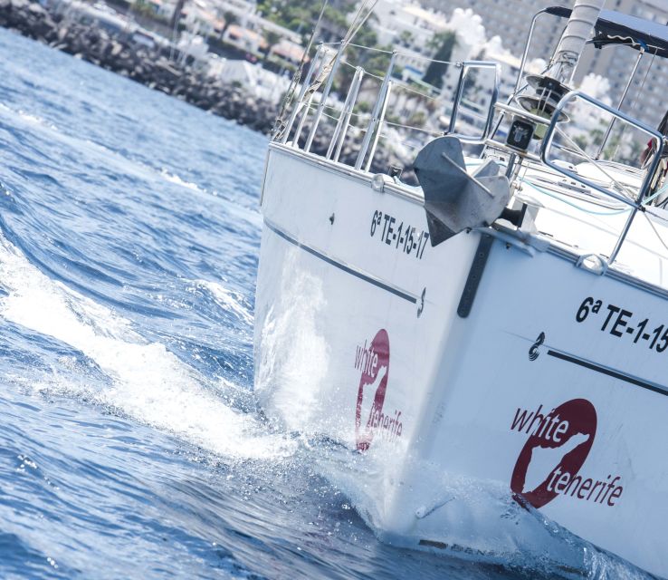 Tenerife: Whale and Dolphin Watching Tour by Sailboat - Food, drinks, and onboard comfort: the small details that make 3 hours enjoyable