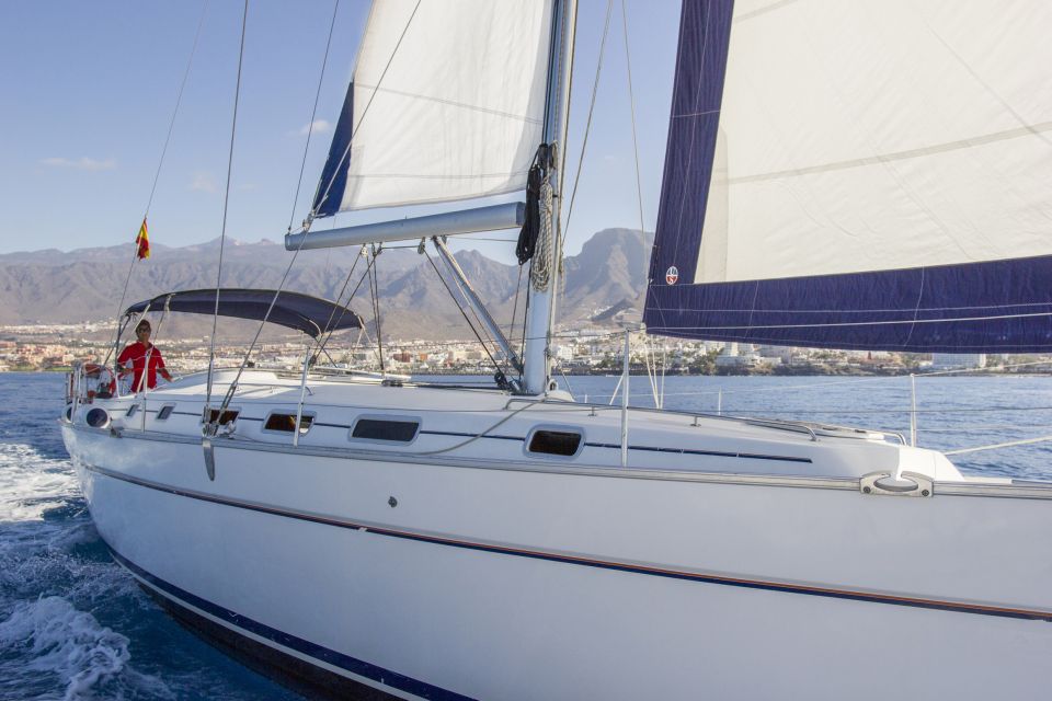 Tenerife: Whale and Dolphin Watching Tour by Sailboat - What to bring (and what to leave behind) so nothing ruins your day
