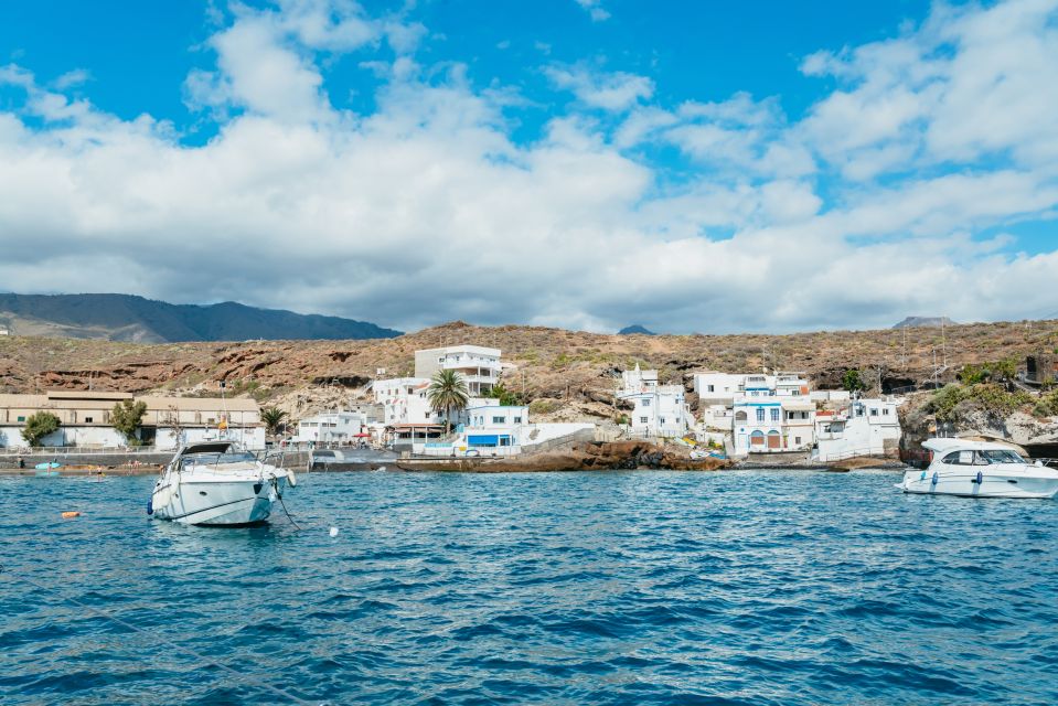 Tenerife: Whale & Dolphin Watching with Drinks and Snacks - Pickup and meeting point: keep it easy and on time