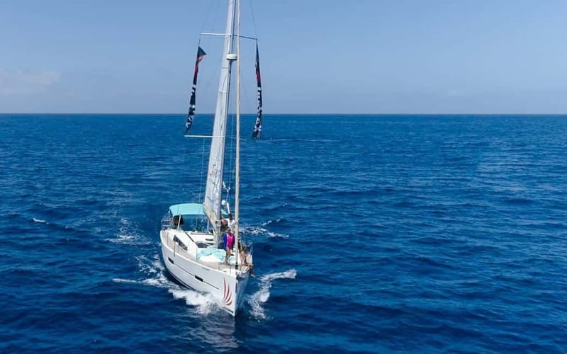 Tenerife Whale Watching and Snorkeling Yacht Trip - Key highlights I’d circle before you go