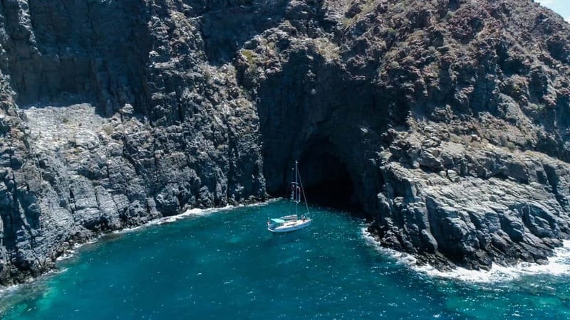 Tenerife Whale Watching and Snorkeling Yacht Trip - Pilot whales and dolphins: how the best part usually feels