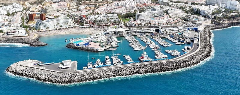 Tenerife Whale Watching and Snorkeling Yacht Trip - Playa del Puertito swim and snorkeling: the 30-minute “cool off” stop