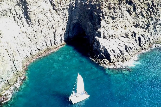 Tenerife Whales and Dolphins Watching Experience in Catamaran - The skipper and crew tone: learn while you watch
