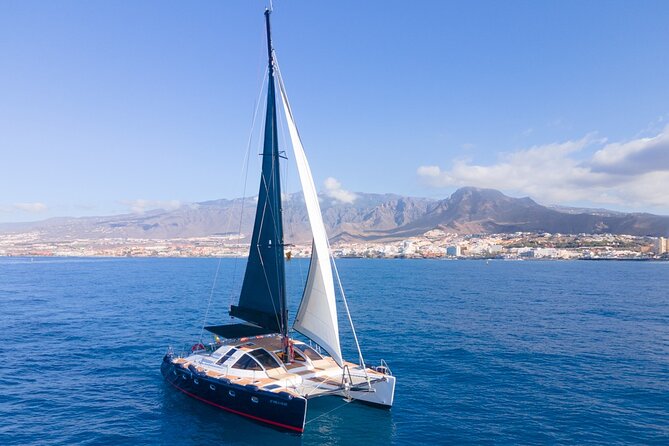 Tenerife Whales and Dolphins Watching Experience in Catamaran - The cove anchor: swim and snorkel time on the south coast