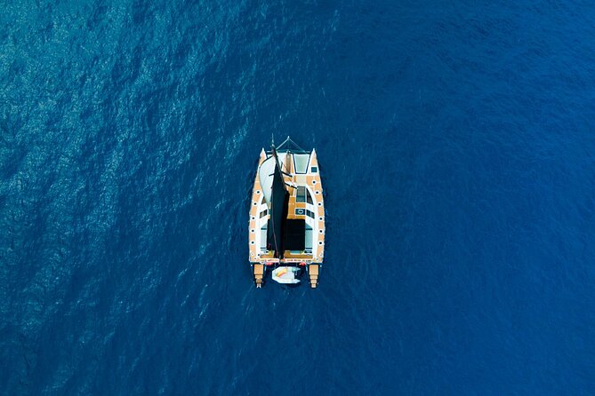 Tenerife Whales and Dolphins Watching Experience in Catamaran - Group size and the feel of the boat: why it matters for whales