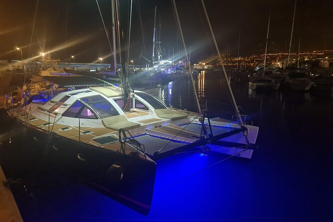 Tenerife Whales and Dolphins Watching Experience in Catamaran - The wildlife search: where spotting happens (and why distance matters)