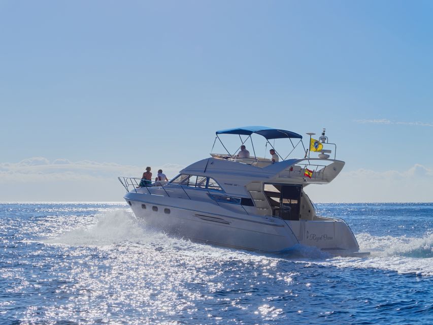 Tenerife: Whales and Snorkeling Tour on a Luxury Yacht - Food and drinks onboard: the part you’ll notice first