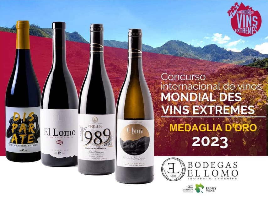Tenerife Wine: Guided Tour & Tasting with Canarian bites - El Lomo Winery in Tegueste: why this starts in the vineyards