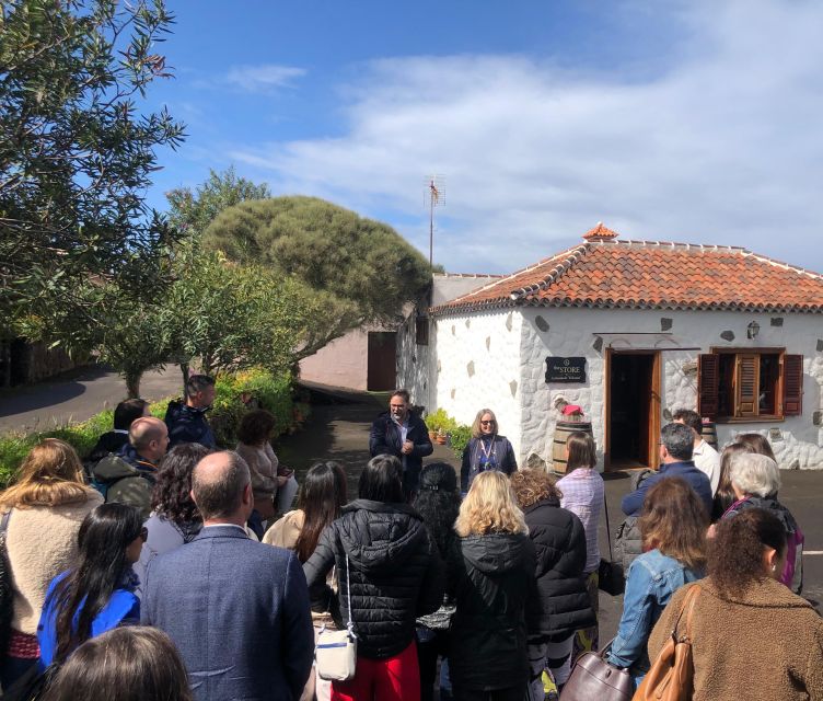 Tenerife Wine: Guided Tour & Tasting with Canarian bites - The Varietal Garden walk and the hundred-year-old vines