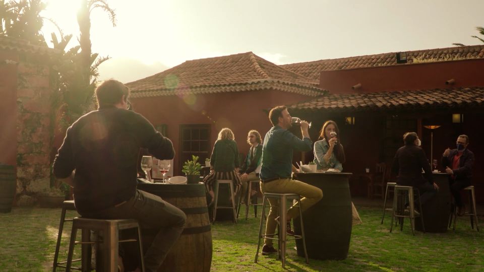 Tenerife: Wine Museum Ticket with Local Wines & Food Tasting - What you eat with the wine: cheese, almogrote, toast, and honey