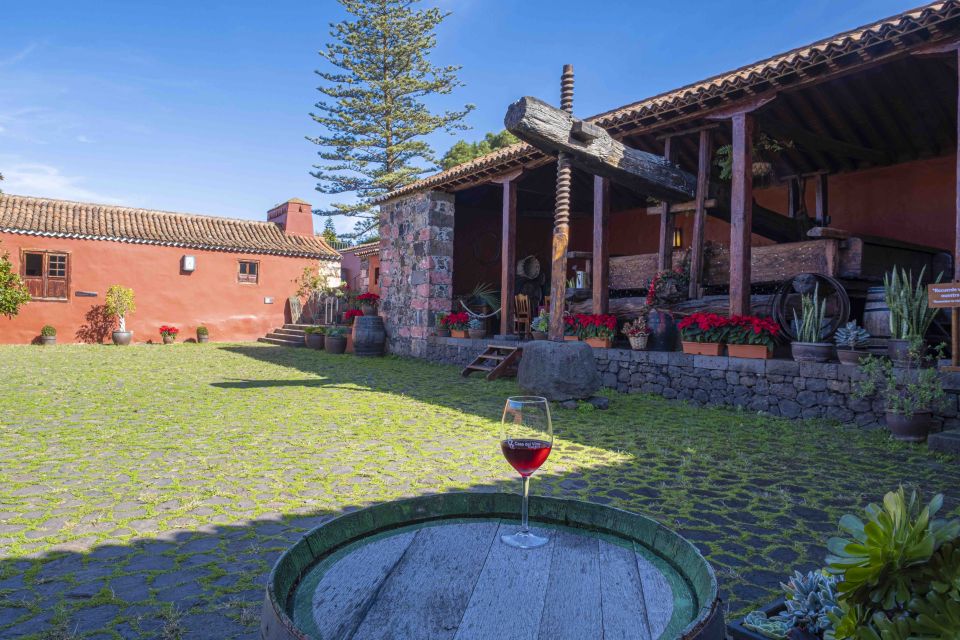 Tenerife: Wine Museum Ticket with Local Wines & Food Tasting - Views toward Teide and the sea: when the weather cooperates
