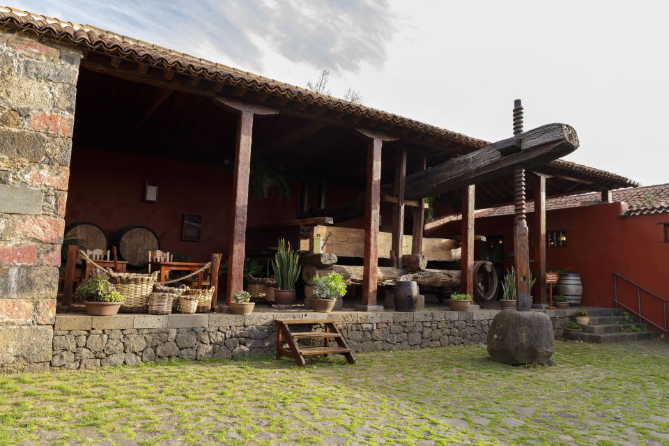 Tenerife: Wine Museum Ticket with Local Wines & Food Tasting - Timing and pacing: what 2 hours feels like