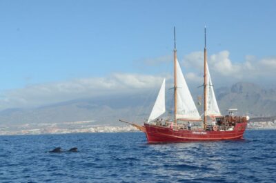 Tenerife:Respectful Whale Watching, Pirate Ship, & Swim - Your ride: a roomy Peter Pan-style schooner with real places to sit