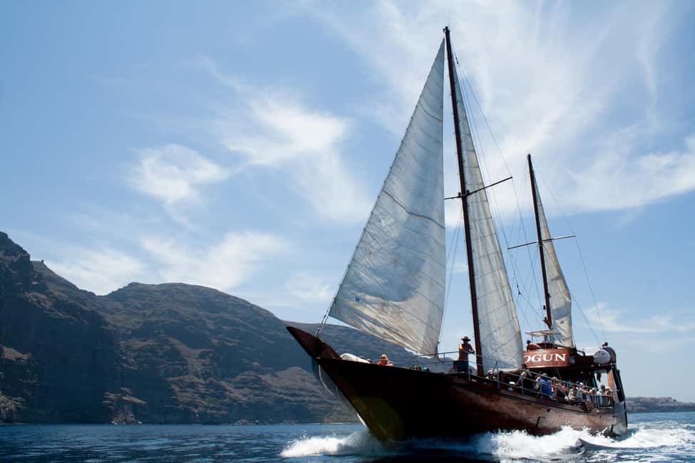 Tenerife:Respectful Whale Watching, Pirate Ship, & Swim - What you do at sea: pilot whales, dolphins, and good animal manners