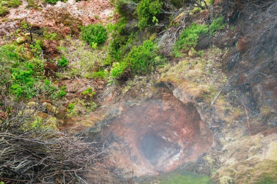 Terceira: Algar do Carvão Lava Caves Tour - The geology story you’ll actually remember