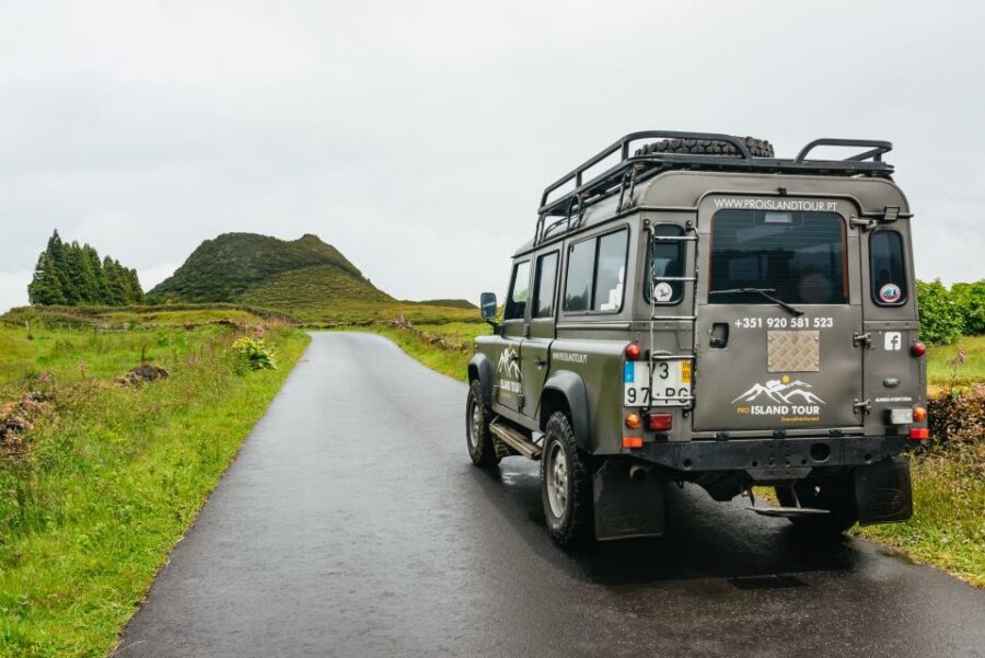 Terceira: Algar do Carvão Lava Caves Tour - The birds and the tiny cave life you’ll hear about