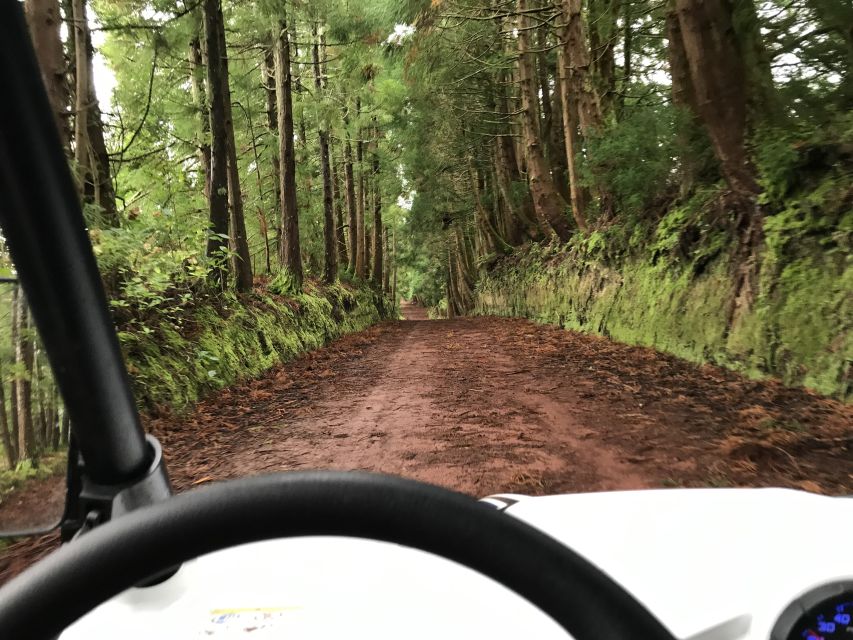 Terceira: Buggy Tour 4x4 West Side Azores Retreat - Photo Stops, GoPro Mounts, and Those Little Surprises