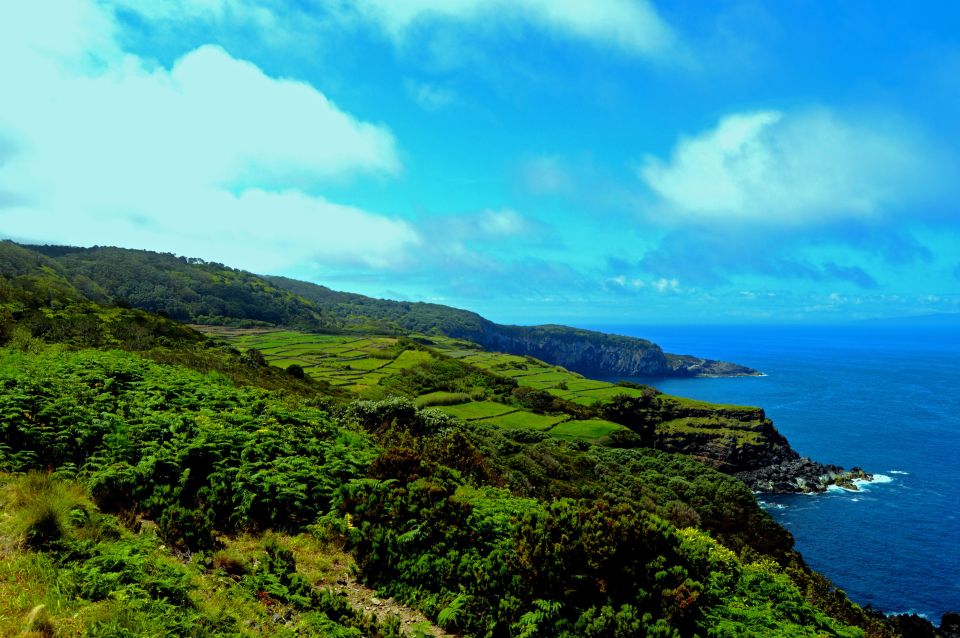 Terceira: Half-Day Island Tour with Cheese Tasting - Baía do Negrito photo stop: fort and a whaling exhibition