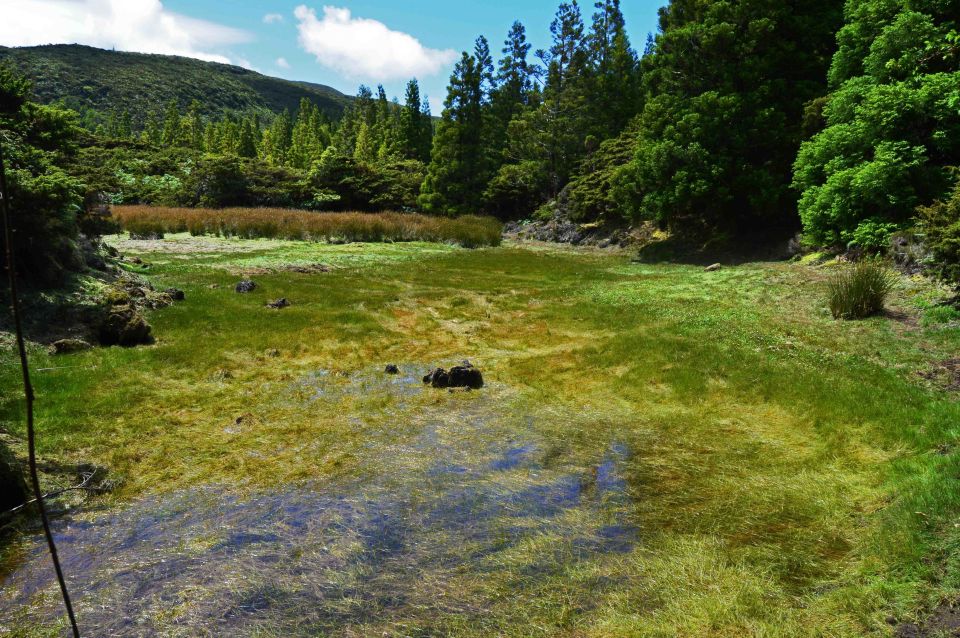 Terceira Island: Mistérios Negros Hiking - Entering Mistérios Negros: Dark Lava, Lakes, and a Circular Route