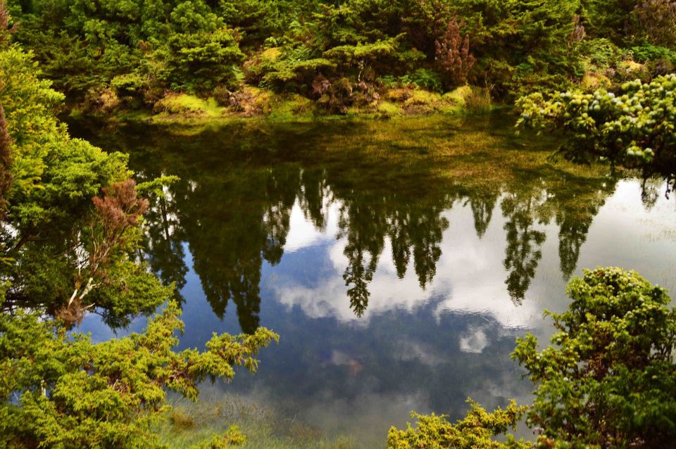 Terceira Island: Mistérios Negros Hiking - Pico Gaspar: The Volcano Climb and What 15,000 Years Shows You