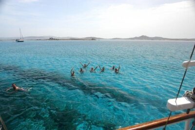 The Authentic Rhenia-Delos Cruise - Rhenia Stop: Quiet Beaches, BBQ Under the Captain’s Plan