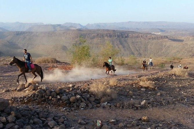 The Best Horse Riding Experience in Gran Canaria (1 hour) - How the guides match the ride to your ability