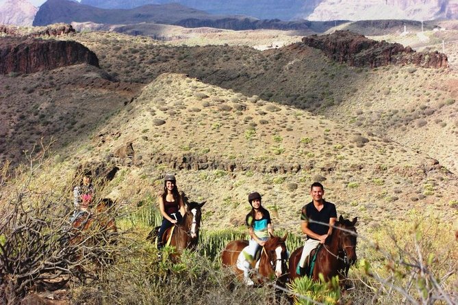 The Best Horse Riding Experience in Gran Canaria (1 hour) - What to check before you mount up