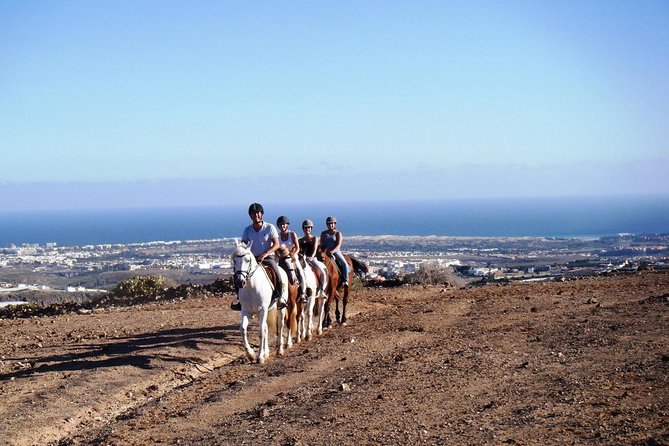 The Best Horse Riding Experience in Gran Canaria (2 hours) - Key points to know before you go