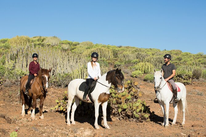 The Best Horse Riding Experience in Gran Canaria (2 hours) - Should you book this 2-hour horse riding experience in Gran Canaria?
