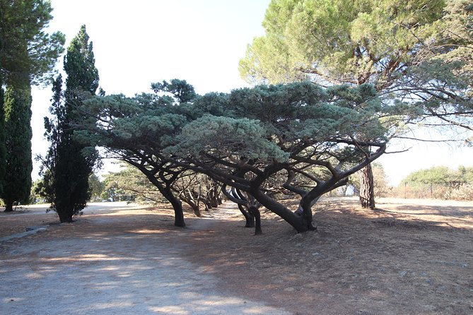 The Best of Rhodes & Lindos: Full Island Tour (Small Group) - Lindos: golden beaches, maze-like lanes, and the optional Acropolis fee