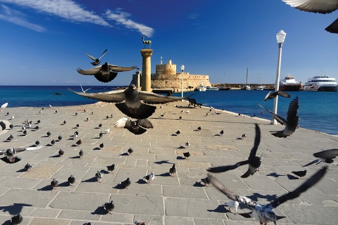 The Best of Rhodes - Private Beach Excursion - Key things you’ll notice on this Rhodes private beach day