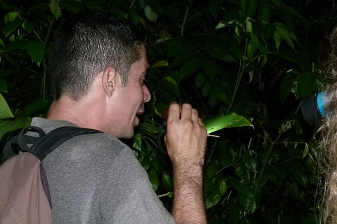 The best of Tortuguero: Canoe, hike and night tour (turtle in Jul-Oct) - The 11:00 am walk through Tortuguero National Park: what you’ll actually see