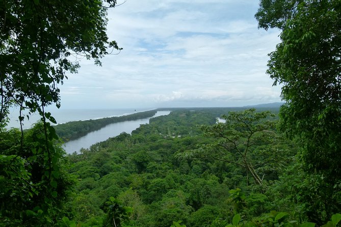 The best of Tortuguero: Canoe, hike and night tour (turtle in Jul-Oct) - Timing and pacing: the 5:30 am start and the long middle break