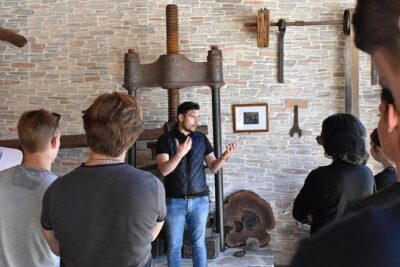 The Governor's Olive Mill Tour with Olive Oil Tasting - The grove walk and the oldest olive story you can actually picture