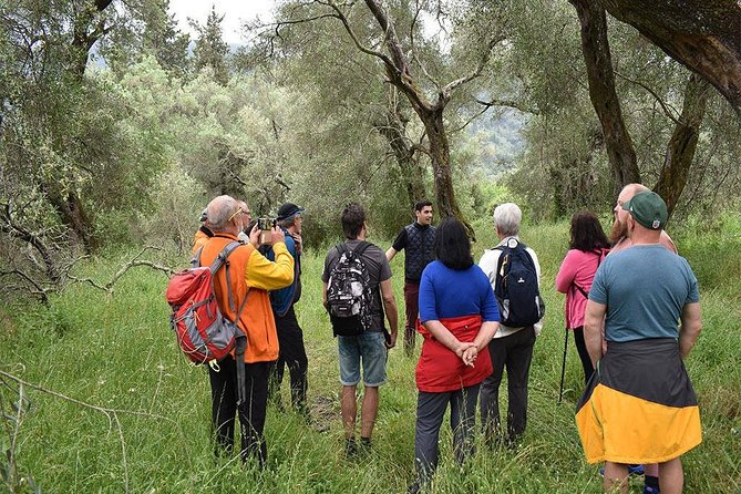 The Governor's Olive Mill Tour with Olive Oil Tasting - What to do with what you learn: using tasting skills at home